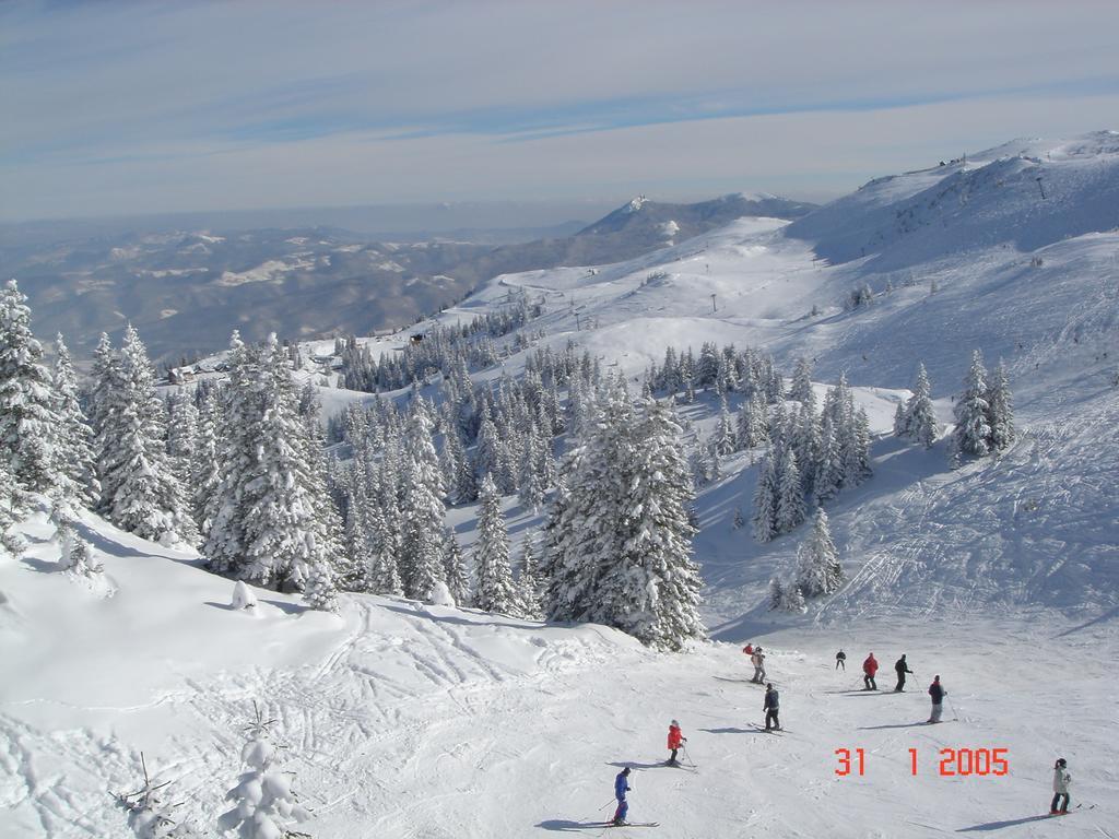 Bed And Breakfast Vila Lala Jahorina Exteriér fotografie